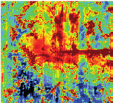 Lifetime map of passivated multicrystalline silicon