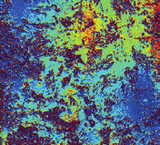 Iron contamination map of multicrystalline silicon